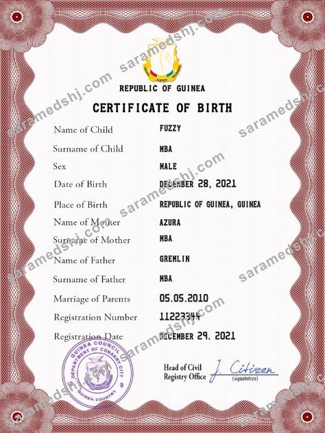 Guinea vital record birth certificate PSD template